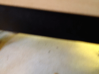 2012-09-13_g_1.gif