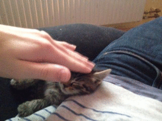 2012-09-16_g_2.gif