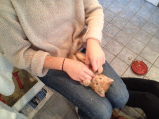 2012-09-28_g_2.gif