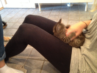 2012-09-28_g_3.gif