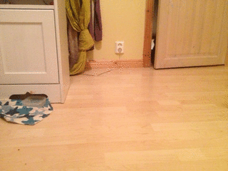 2012-10-02_g_04.gif
