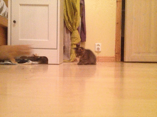 2012-10-02_g_05.gif