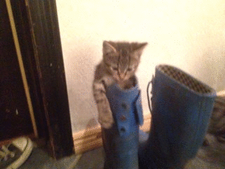 2012-10-06_g_1.gif
