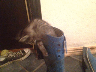 2012-10-06_g_2.gif