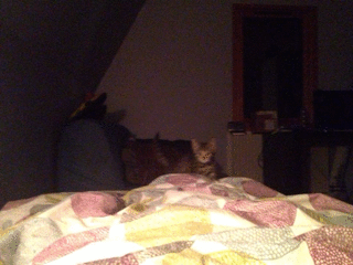 2012-10-19_g.gif