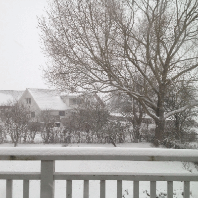2012-12-09_37551981359.gif