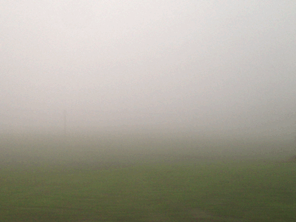2012-12-29_39119147723.gif