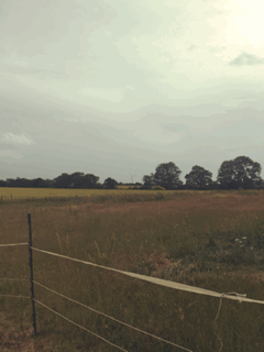 2015-07-07_123465878924.gif