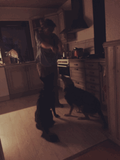 2015-07-09_123666389249.gif
