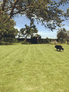 2015-07-21_ygf1bX0u.gif