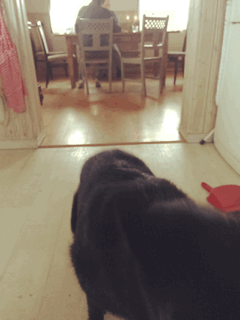2015-11-07_132727242364.gif