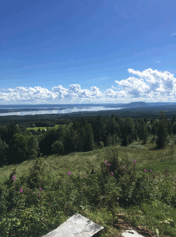 2016-07-29_Perasen_i_Jamtland.gif