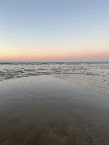 2025-03-22_skagenmeet.gif