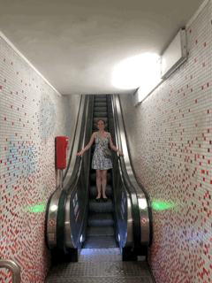 2025-06-29_teenywienyescalator2.gif